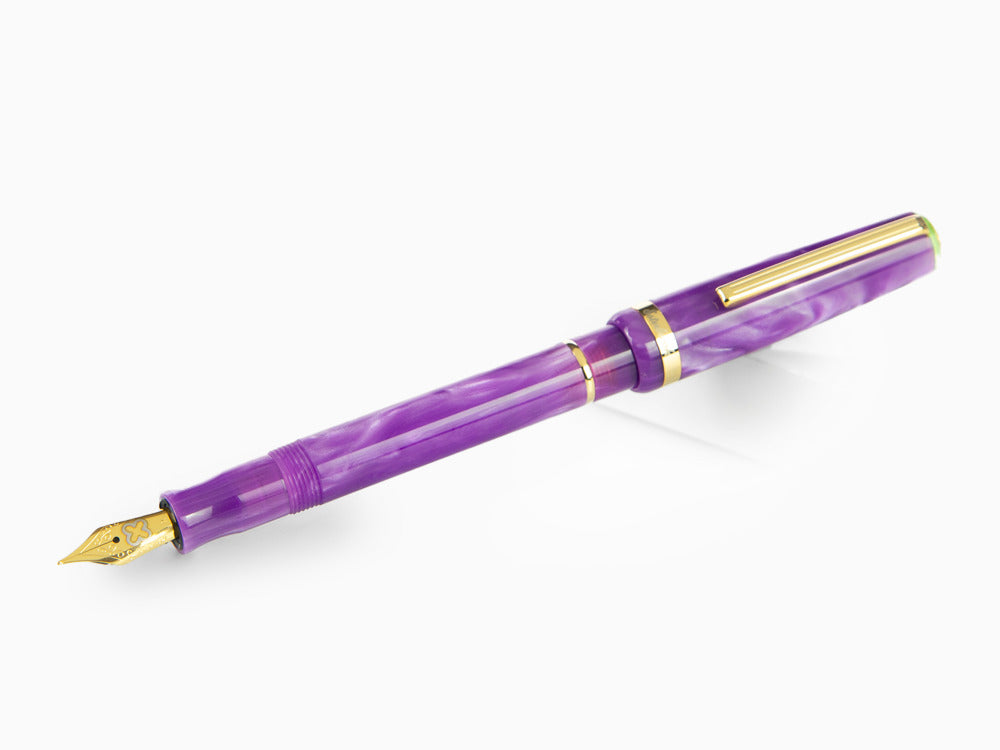Stylo Plume Esterbrook JR Paradise Purple Passion, Violet, EJRPP