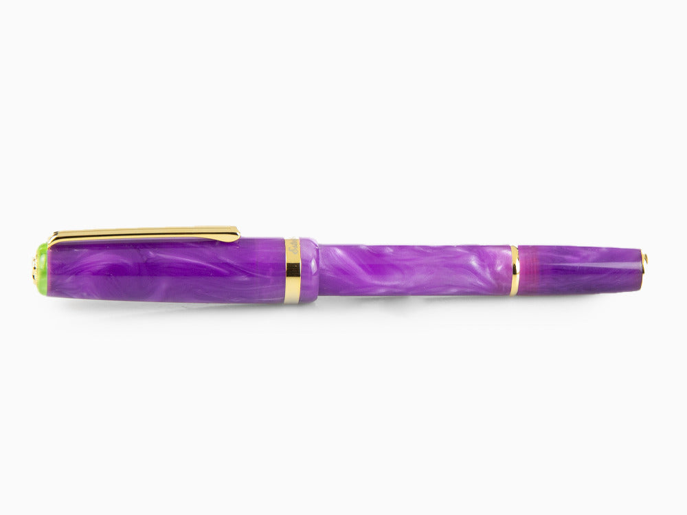 Stylo Plume Esterbrook JR Paradise Purple Passion, Violet, EJRPP
