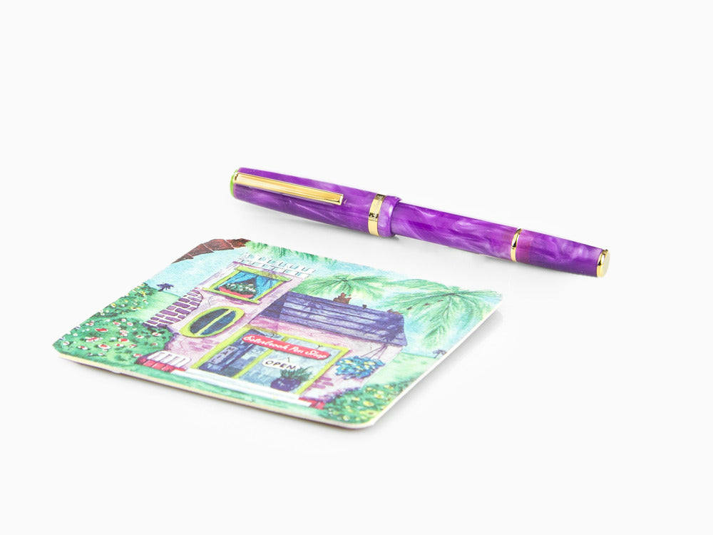 Stylo Plume Esterbrook JR Paradise Purple Passion, Violet, EJRPP