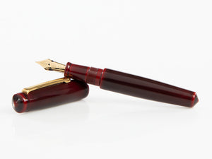 Stylo Plume Nakaya Writer Piccolo Aka Tamenuri, Plume Élastique