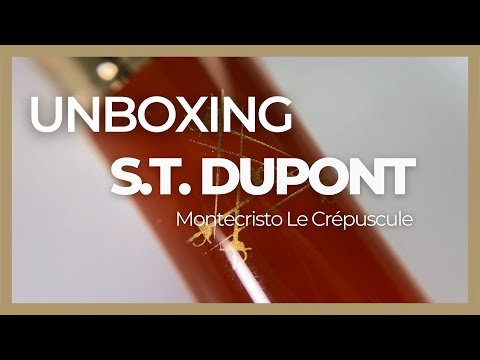 Stylo Plume S.T. Dupont Line D Montecristo, Le Crépuscule, Or, 410136L